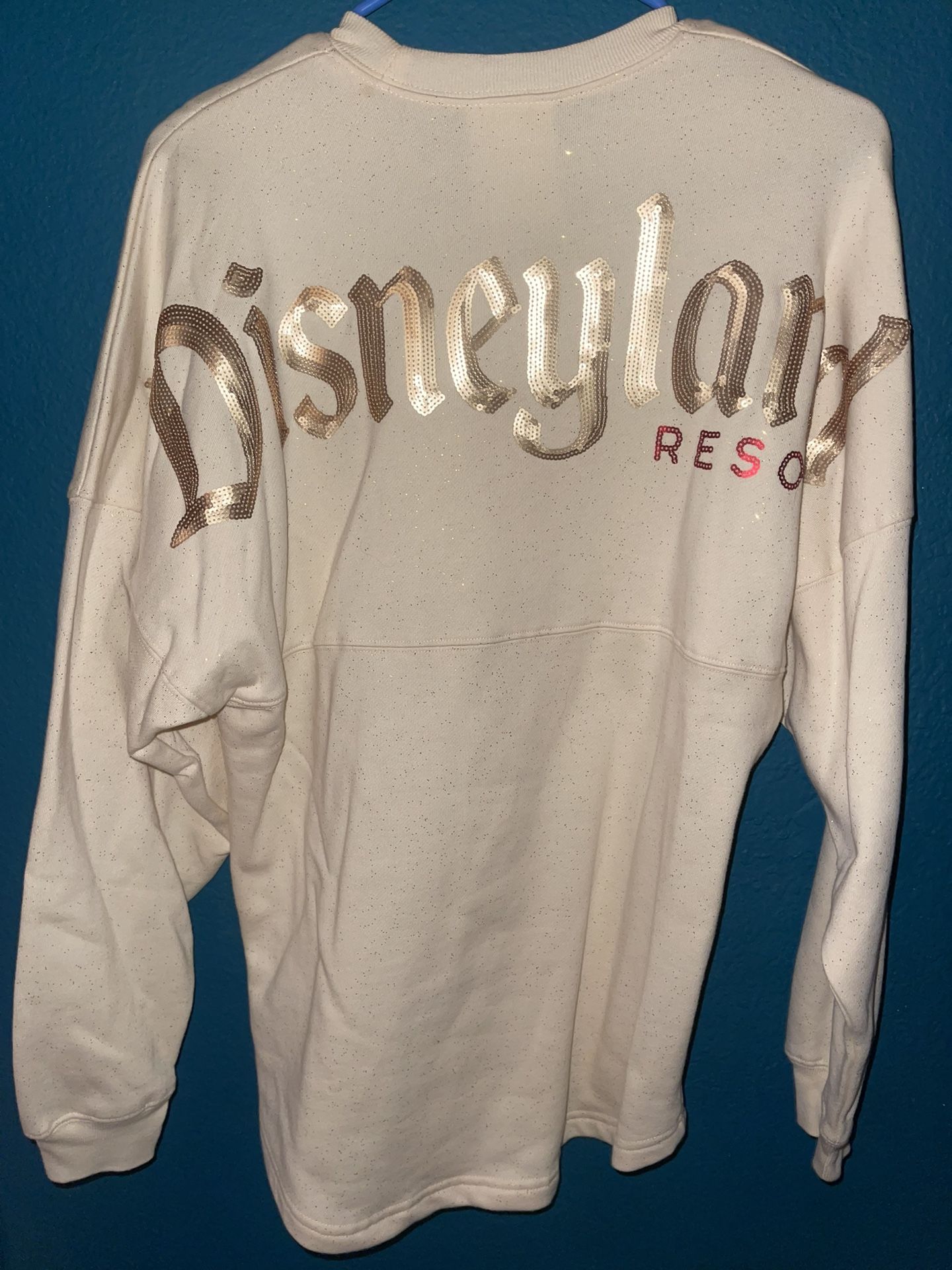 Disneyland Spirit Jersey