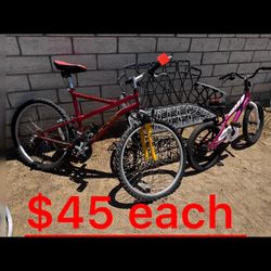 For Sale Bike Frames $20 Each / Cada Una 
