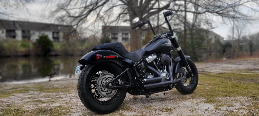 2019 Harley Davidson Softtail slim