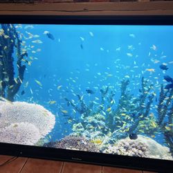 Monitor 75 Inchies Touch Screen