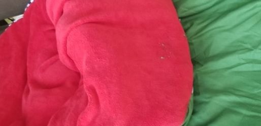 childrens sleeping bag