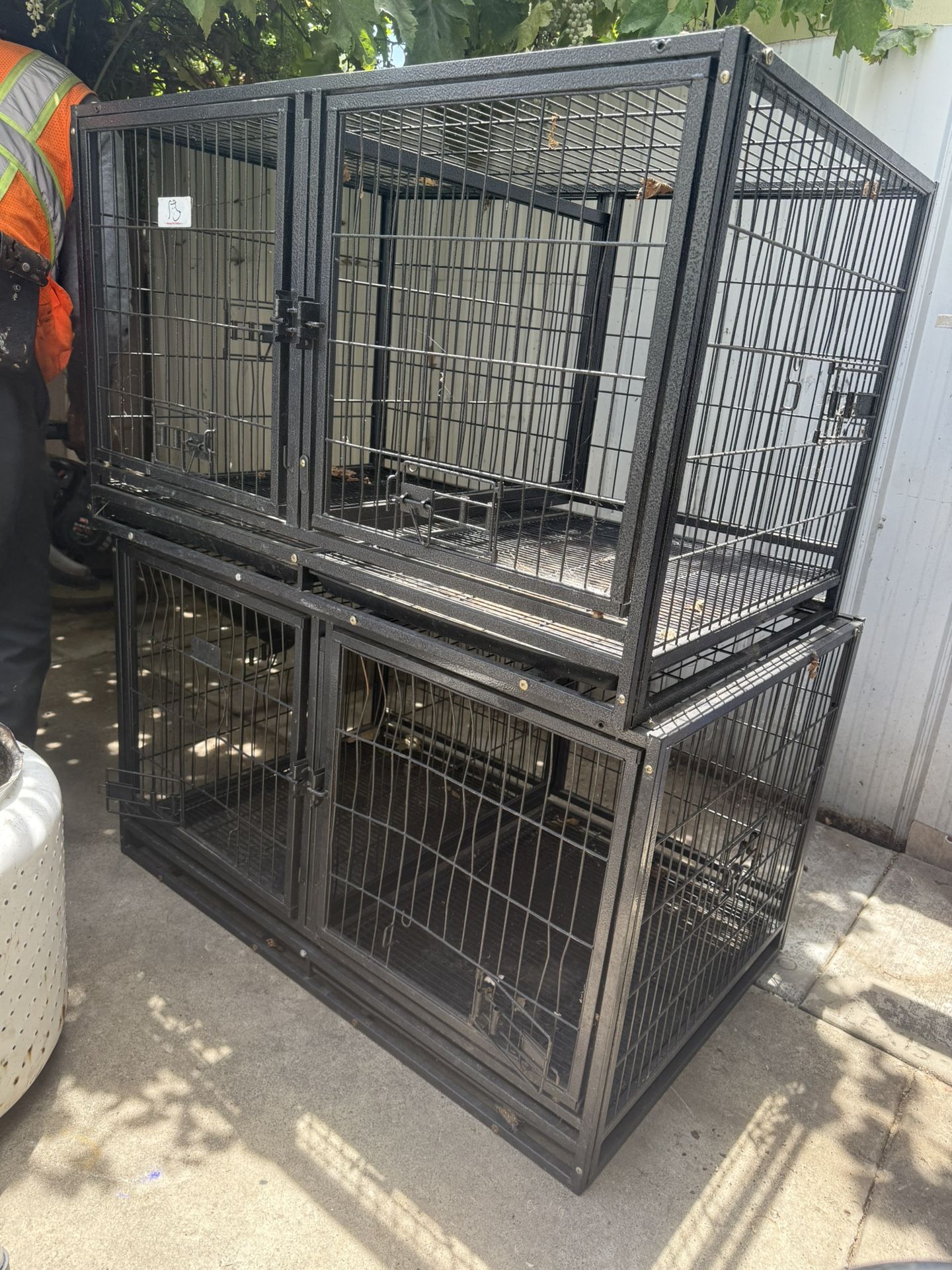 Dog Kennel