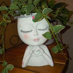 RESIN PLANTERS LAST MINUTE GIFT FOR GRADUATION