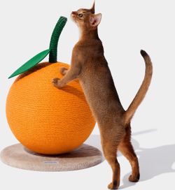 Vetreska orange cat scratcher sisal scratching post ball