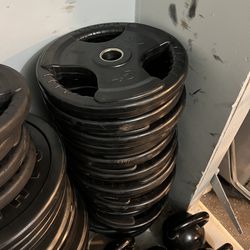 45 Pound Commercial Gym 2” Olympic Northern Lights Urethane Weights ($115/Pair)