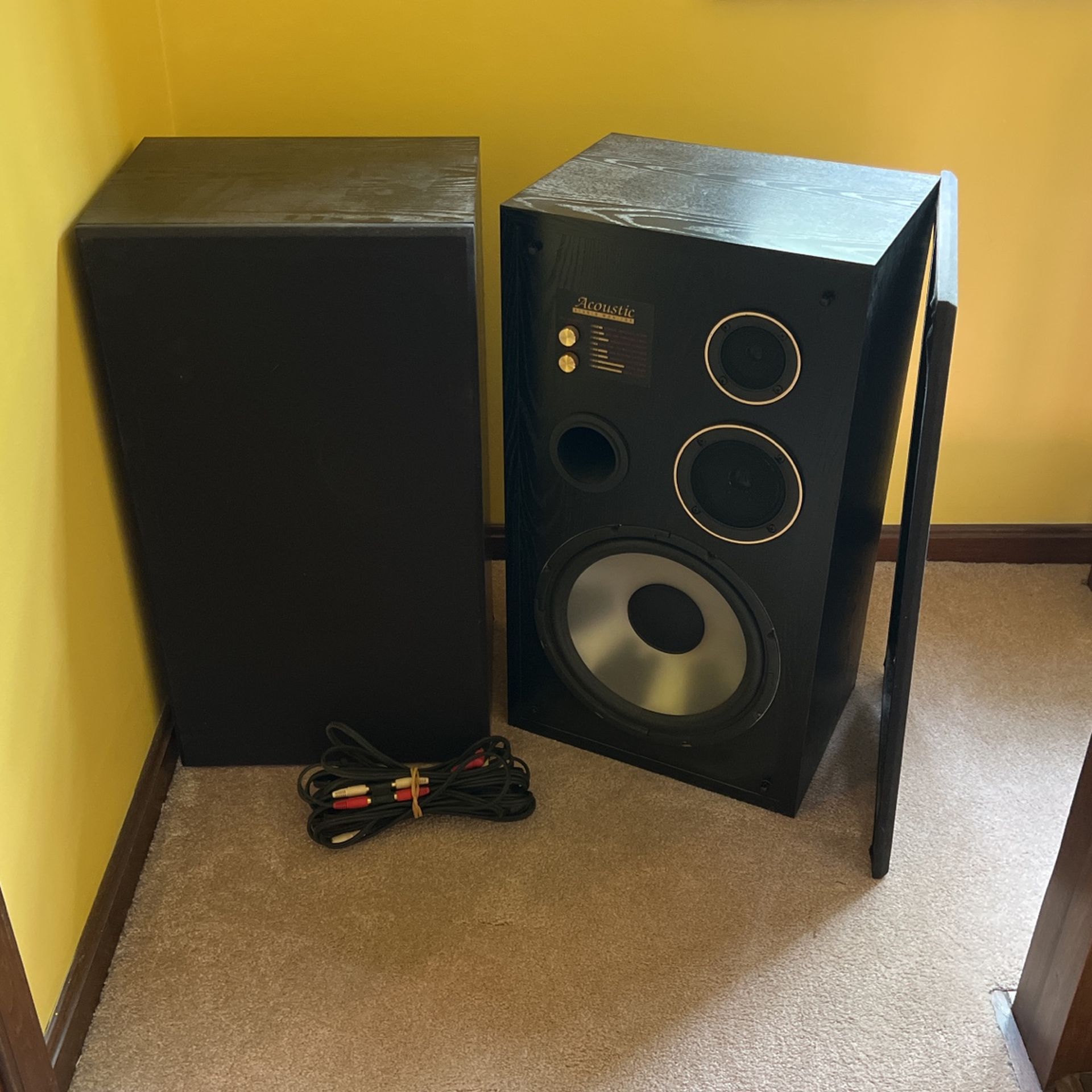 Acoustic Brand Speakers