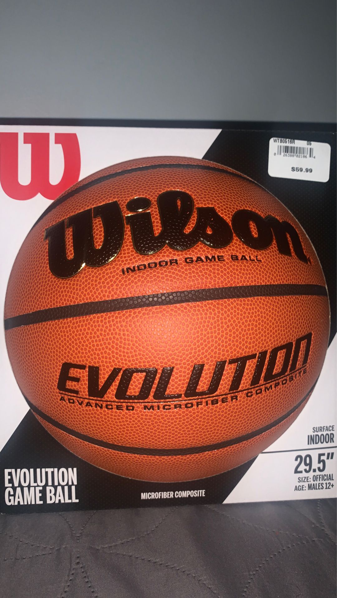 Wilson Evolution Game Ball 29.5