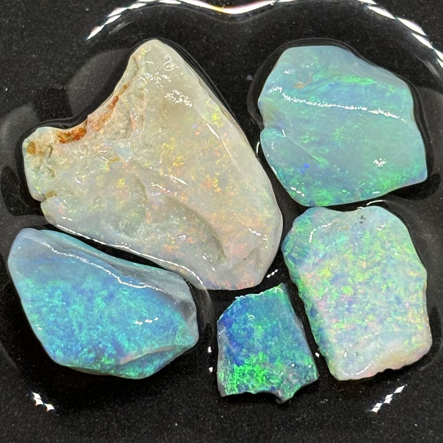 Lightning Ridge Top Tier Rough Opal Parcel Thick Cutters Full Of All Colors
