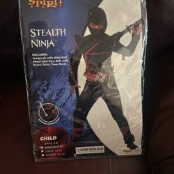 Stealth Ninja 