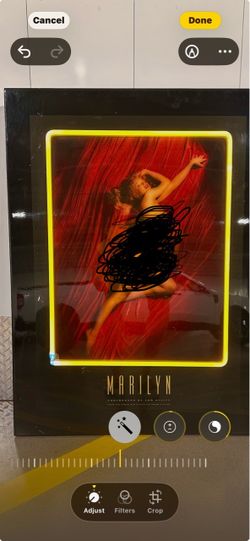 Marilyn Monroe w/ neon light framed