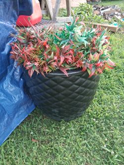 Black diamond pattern textured planter w artificial plant