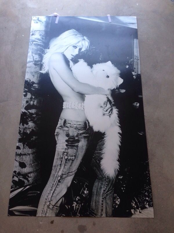 Paris Hilton Guess Poster