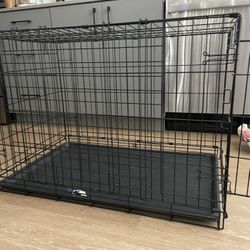 Black Dog crate 