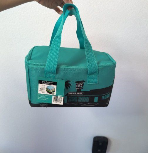 Trader Joe's mini cooler Aquamarine