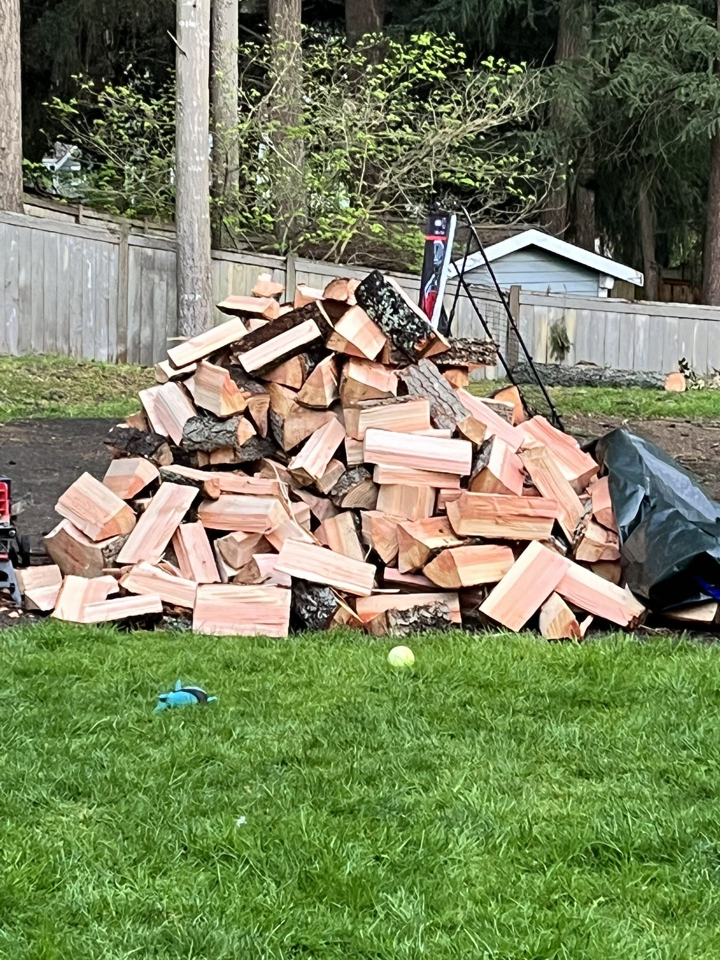 Firewood