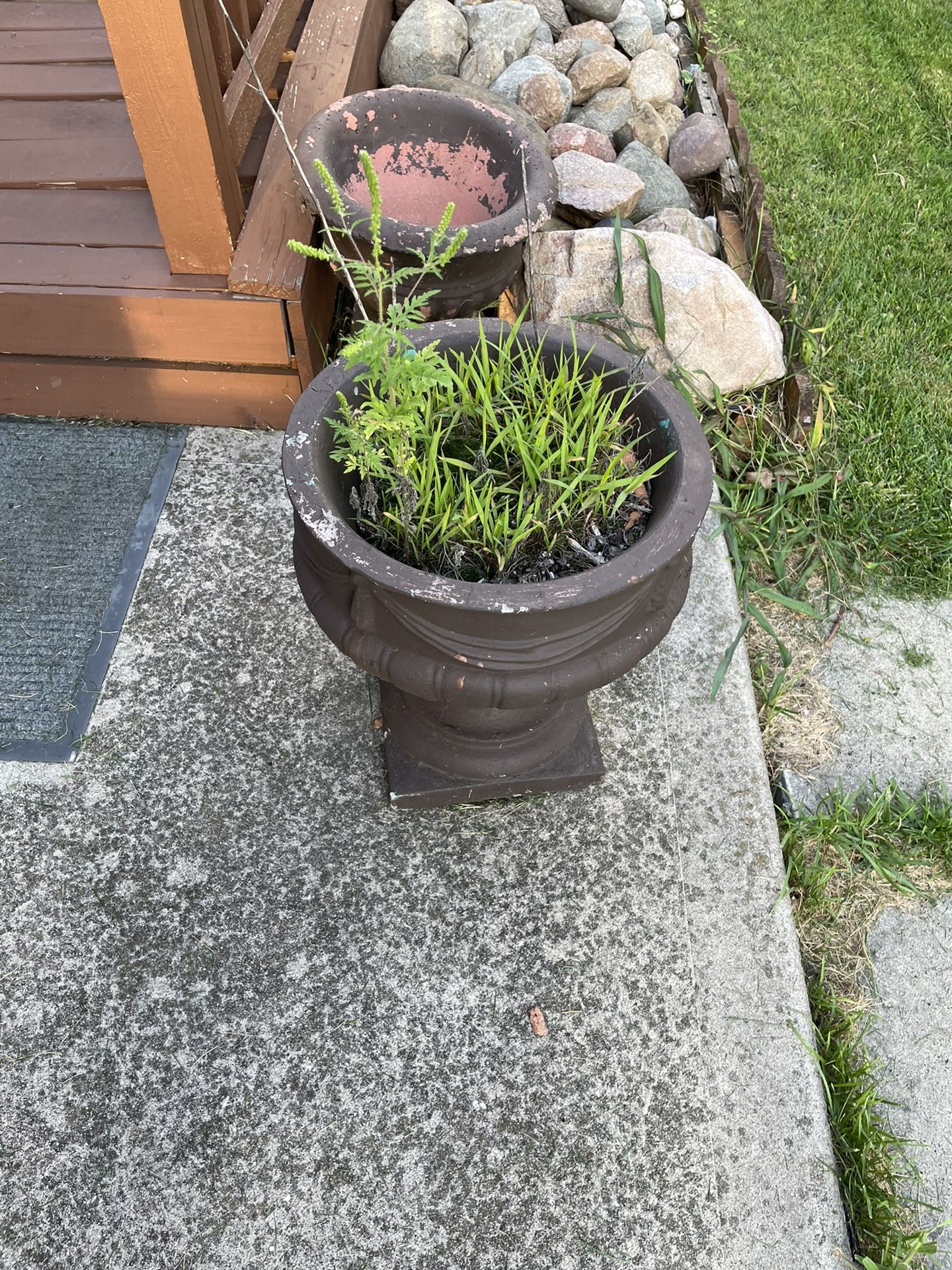 Cement Flower Pot