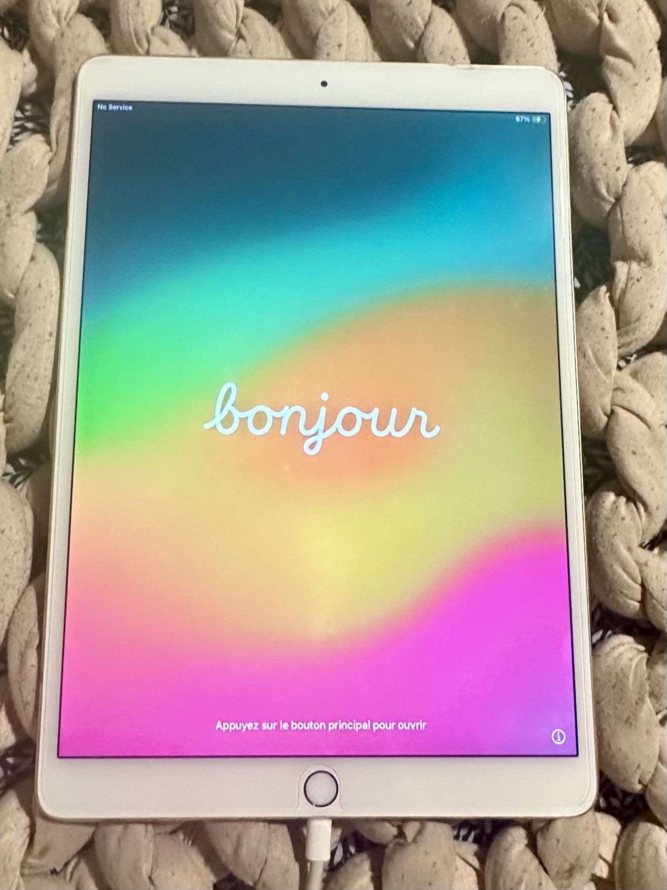 1st Gen 10.5 Inch iPad Pro PLUS Zagg & Case