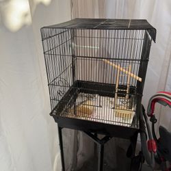 Bird’s Cage