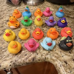 Duck  Duck 