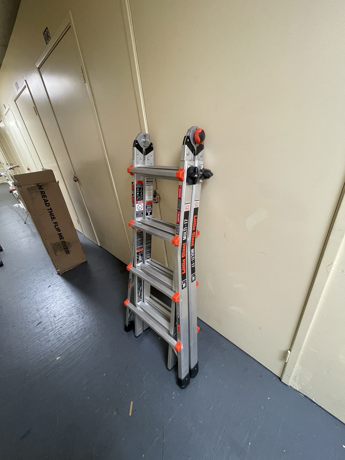 Little Giant Ladder