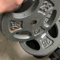 25Lbs barbell plates 