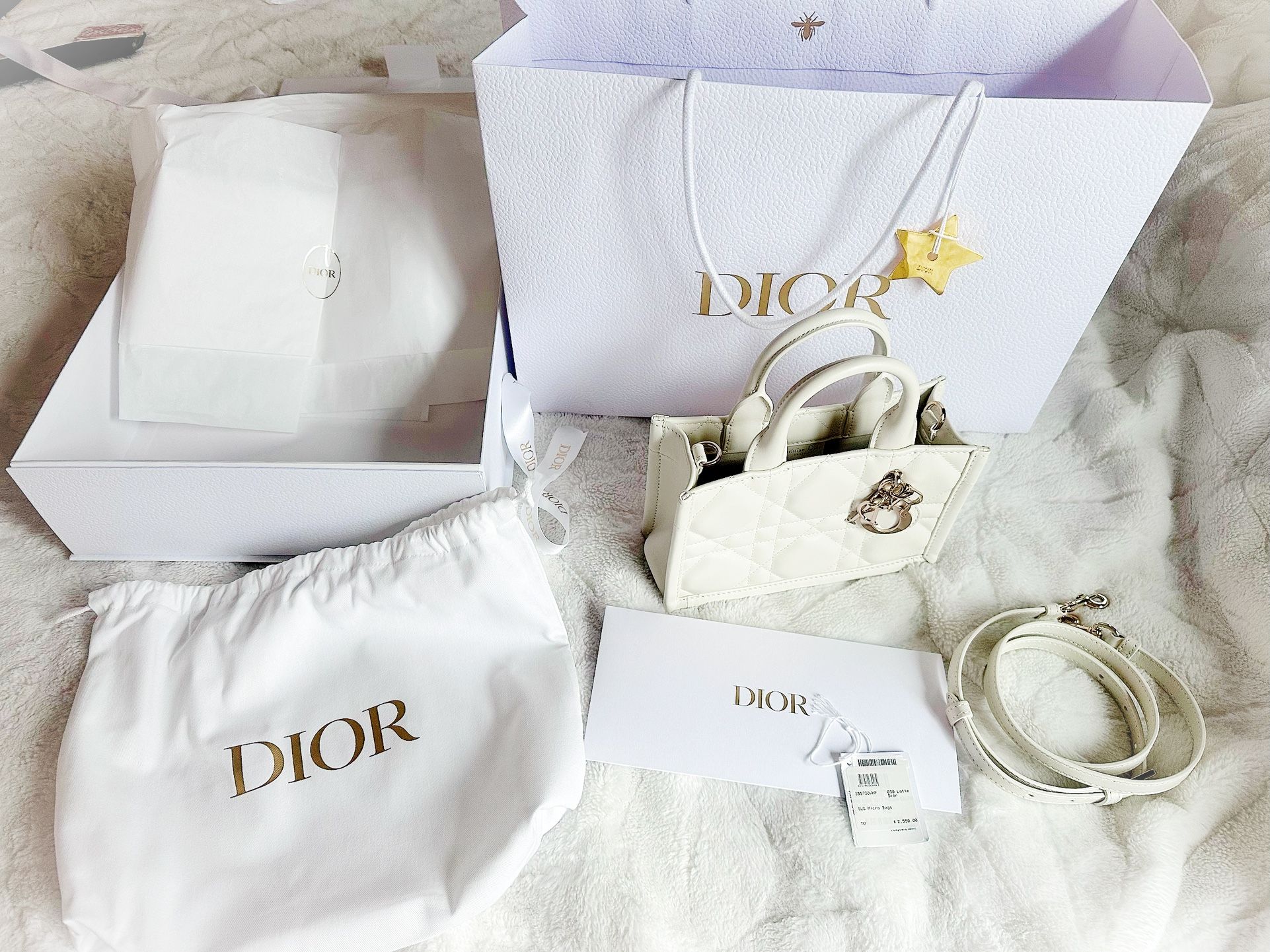 Christian Dior Mini Book Tote Purse