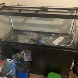 75 Gal Fish Tank 