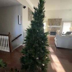 7.5 Long Needle Christmas Tree