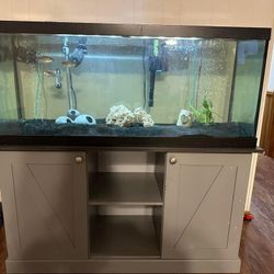 75 gallon fish tank 