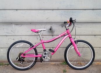 SPECIALIZED HOTROCK BIKE - $80