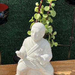 Succulent Growing From Ceramic DOJO