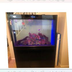 there indeed Full Aquarium Tank - Spacious & Eye-Catching