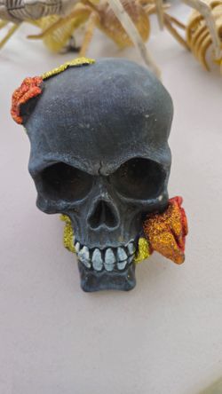 Heavy Black Skull with Roses