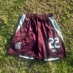 24/25 Mexico Home Fan Version Shorts (Medium) (#22)