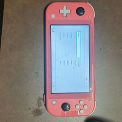 nintendo lite/blue tooth nintendo contrller 