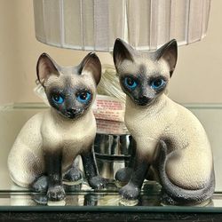 Adorable Siamese Cats 5”