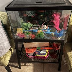 Pecera Con La Mesa en Buenas Condiciones 