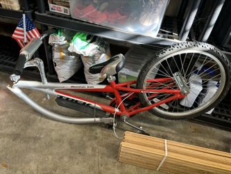Trek Child Bike Attachment – 20” Ride-Along