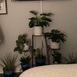 Metal Multi-Tier Plant Stand – Decorative & Functional