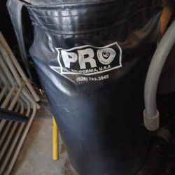 Punching Bag And Speed Bag