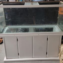 75 Gallon Aquarium With Stand