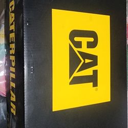 Cat Industrial Shoes