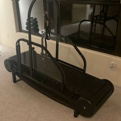 slatted dog treadmill 