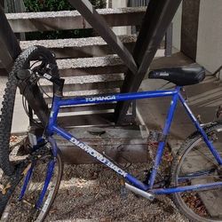 Tapanga  Diamondback 26in