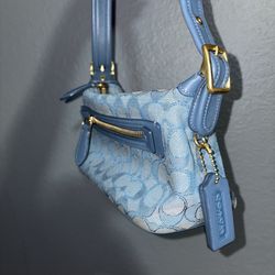 Coach bag ( The Demi bag limited re-edition