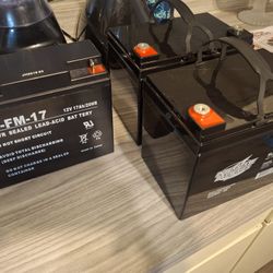 Interstate Lead Acid Rechargeable Batteries