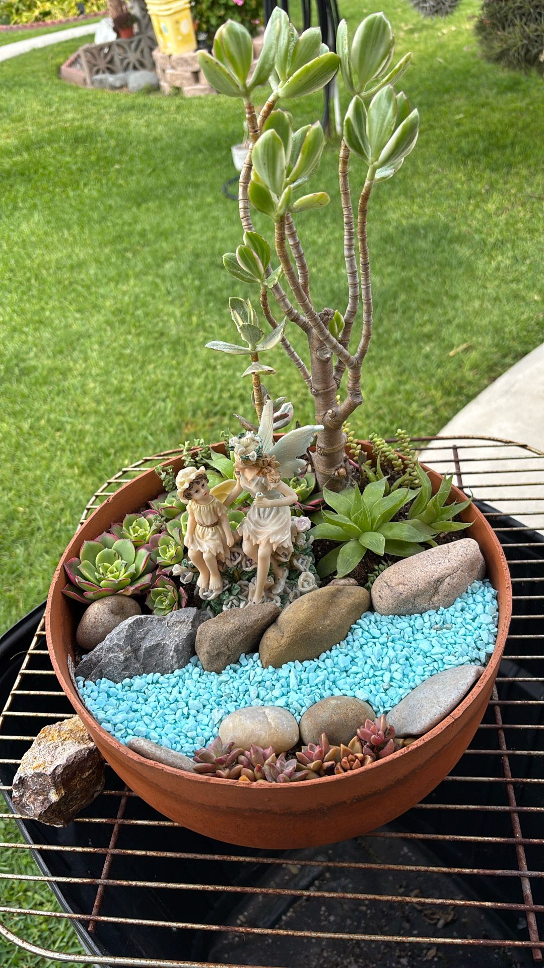 Fairy Garden