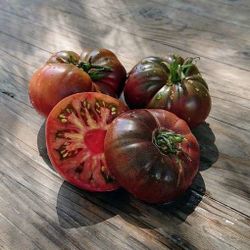 Brandywine Tomato - Purple Cherokee 1 gal