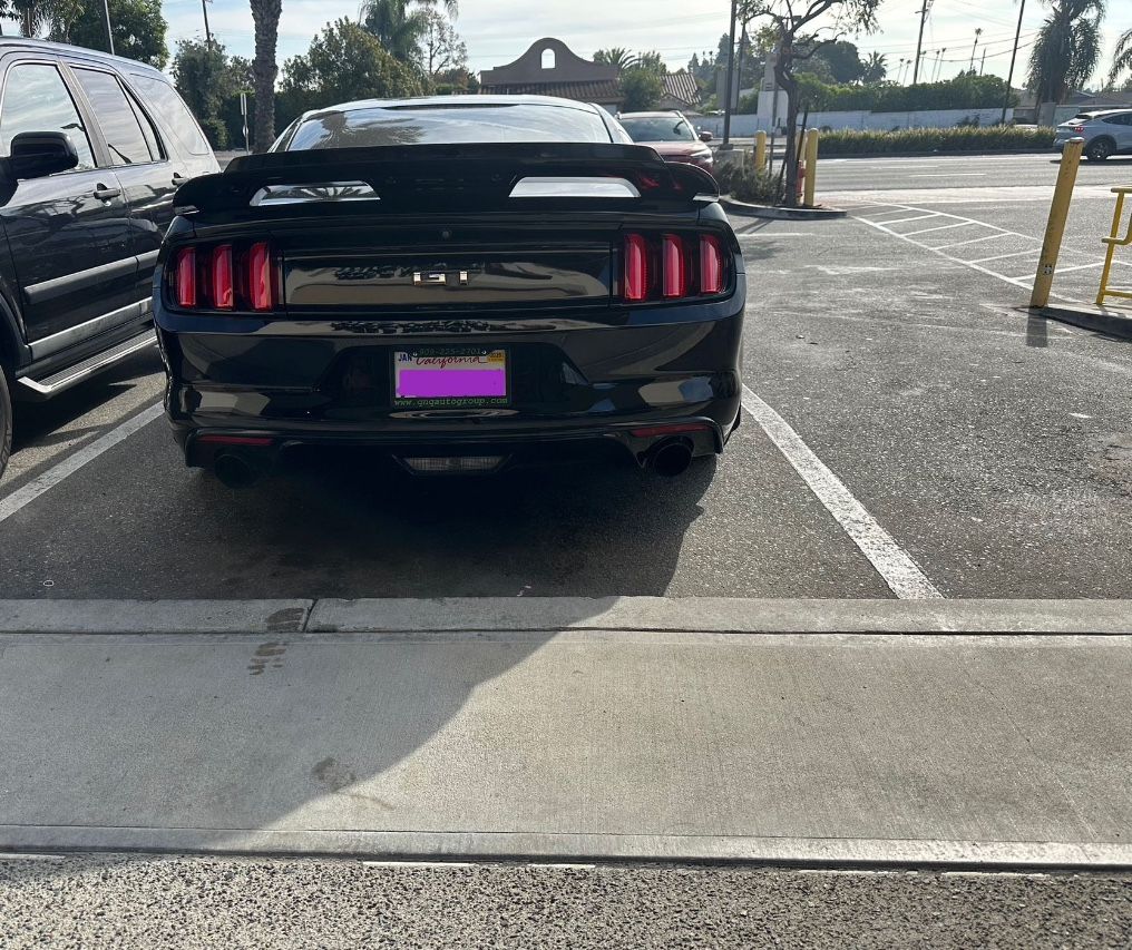 Mustang Tail Lights