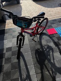 Schwinn 20 kids